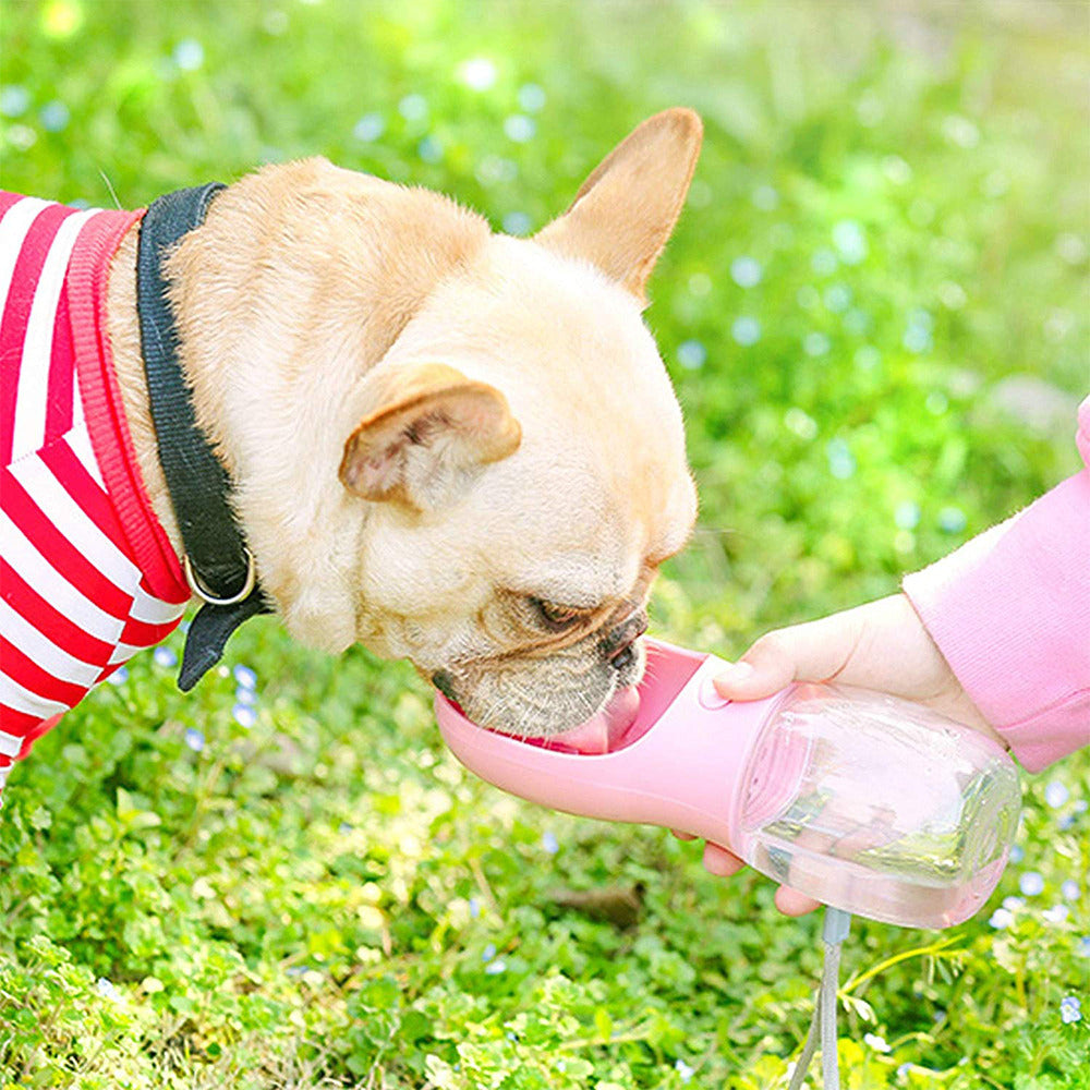 Portable Pet Water Bottle